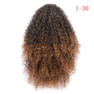 Curly Drawstring Ponytail