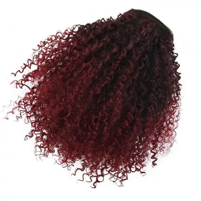 Curly Drawstring Ponytail