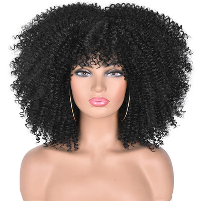 Synthetic Kinky Curly Afro Wig