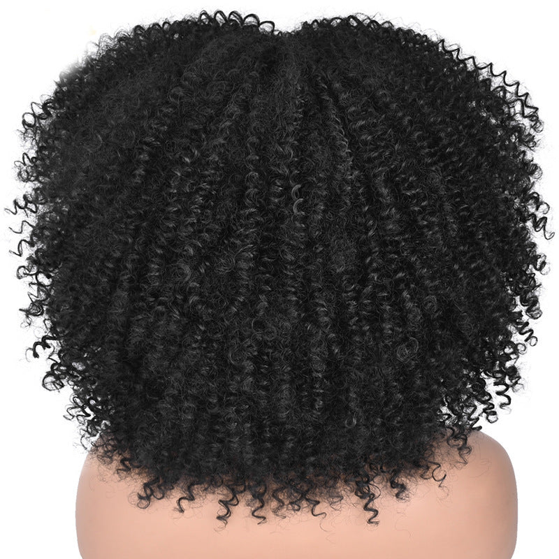 Synthetic Kinky Curly Afro Wig