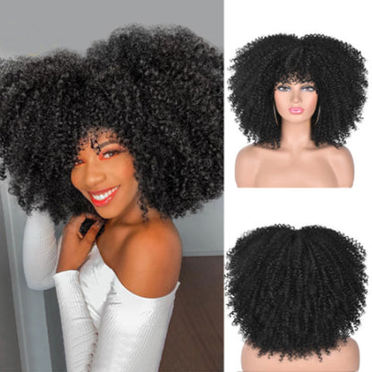 Synthetic Kinky Curly Afro Wig